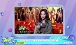 喜鹊姐姐爆料视频大全,揭秘娱乐圈幕后故事